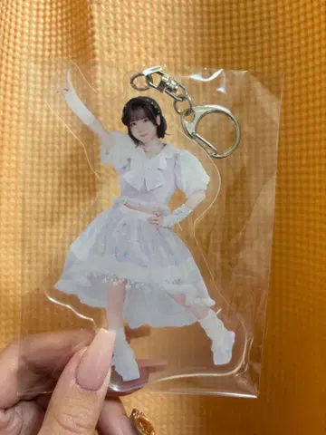 iLife 아이스 아크링 키링 2024