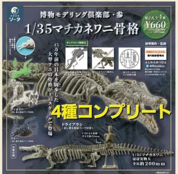 1/35 마치카네 와니 골격 4종 컴플리트 세트