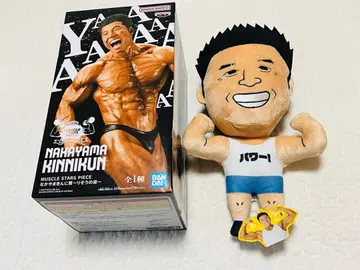 미개봉 새상품 택 포함 나카야마킨니군 이상적인 모습 봉제 인형