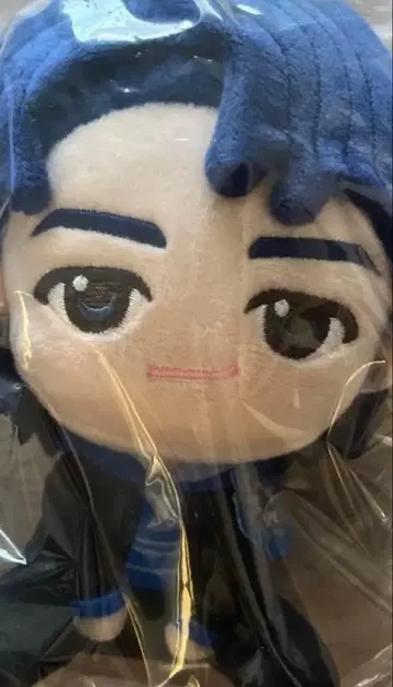 Mrs.GREEN APPLE 제일복권 A상 봉제 인형 와카이 히로토