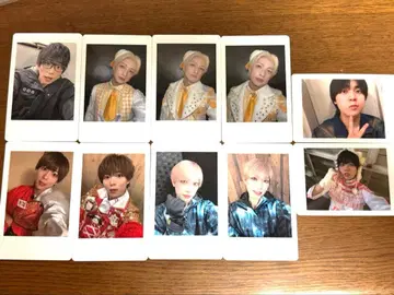 팬더 드래곤 하피카 10장 세트