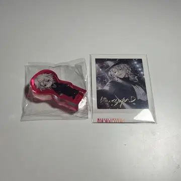 백목귀 잠 코롯토 파샤코레 금박