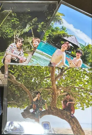 타이마에 도미 앞 발리 로케 브로마이드