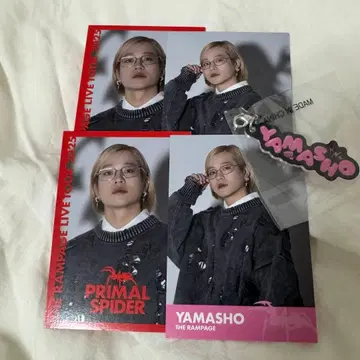 야마모토 쇼고 대폭년회 캡슐 굿즈 폴라로이드풍 포토 카드 포함