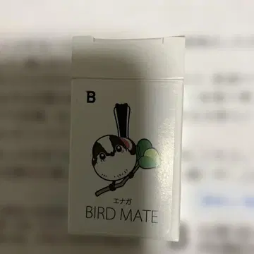 BIRD MATE 에나 가 핀 배지