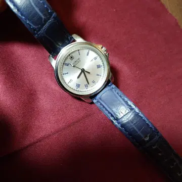 실버 다이얼 로마 숫자 인덱스 손목시계