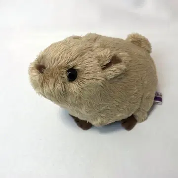 홋카이도 피카 토끼 봉제 인형