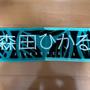 모리타 히카루 머플러 타월
