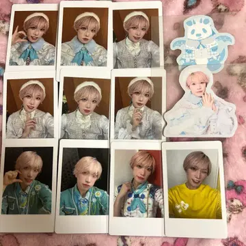 팬더드래곤 타이거 하피카 스티커 파라곤 크리스마스