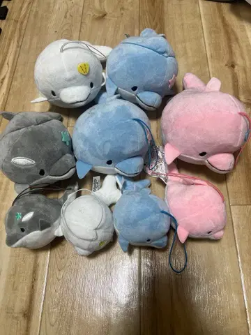 유루이루카 봉제 인형 8개