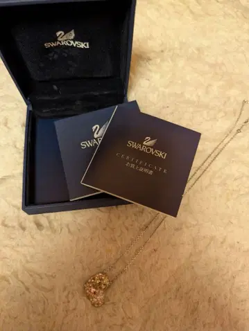 [레어] 스와로브스키 콜론과 하트 목걸이