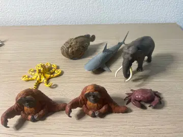 동물 피규어 세트