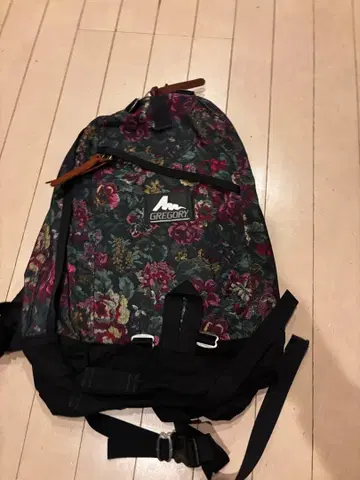 그레고리 데이백