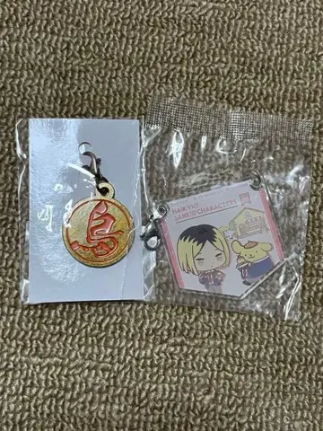 하이큐 카라스노 고교 참 산리오 콜라보 아크릴 키링