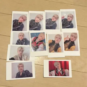 팬더드래곤 요타 하피카