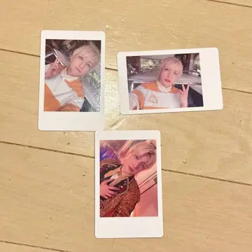 팬더드래곤 요우타 하피카