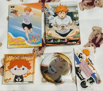 점프 페스타 2026 하이큐 Pictas 피크타스 바보카 특전 히나타