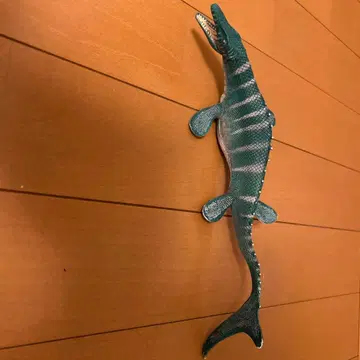 슐라이히 모사사우루스