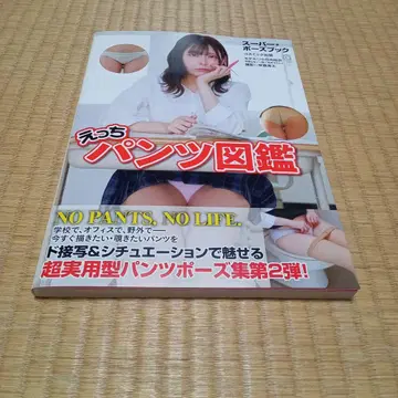 새상품 슈퍼 포즈북 에치 팬츠 도감