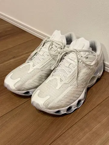 MIZUNO WAVE PROPHECY 12 29cm