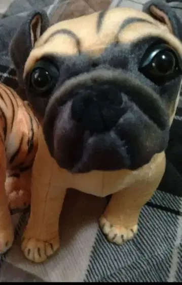 [ 택 포함 새상품 ] 리얼 애니멀즈 퍼그