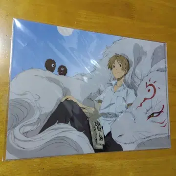 5355 나츠메 우인장 A-4 클리어 파일