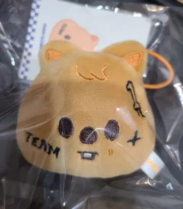 Straykids skzoo name tag mini 한쿼카