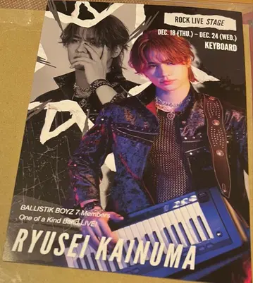 카이누마 류세이 플라이어 바리바리 밴드 하자 바리반