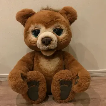 브라운 곰 봉제 인형