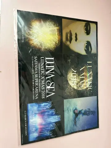 LUNA SEA 스티커 LUNATIC X'MAS2018