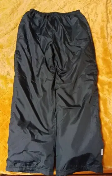 세실의 속기모 바지