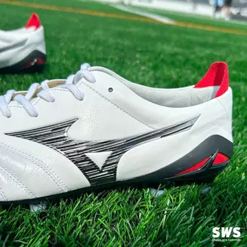 모렐리아 네오 lV