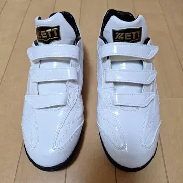 ZETT 트레이닝 슈즈 26.5