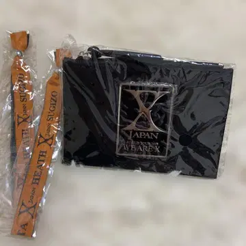 WE ARE X 키케이스 외