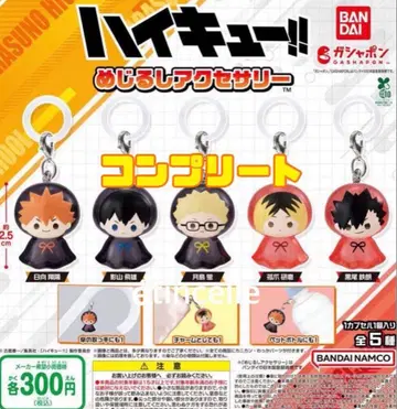 하이큐!! 메지루시 액세서리 전 5종 컴플리트 컴프