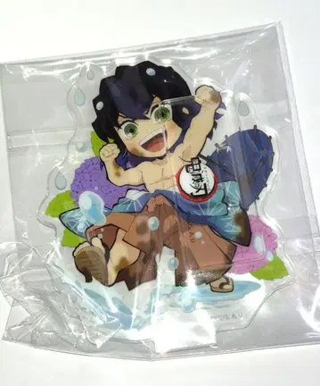 새상품 귀멸의 칼날 장마 신규 일러스트 하시비라 이노스케