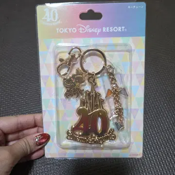미사용 미개봉 새상품 도쿄 디즈니 리조트 40주년 키링 신데렐라 성