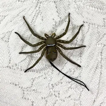 카이요도 쿠모코레 아시다가구모 (결함 있음)