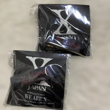 X JAPAN WE ARE X 헤어 클립 2개 세트