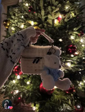 더 토에 호헤 바니티 백