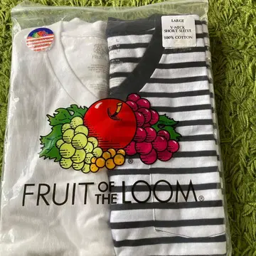 FRUIT OF THE LOOM V넥T셔츠 2장 세트 L