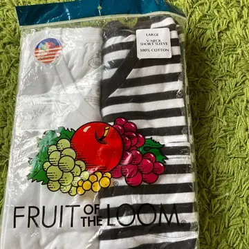 FRUIT OF THE LOOM V넥T셔츠 2장 세트 L사이즈