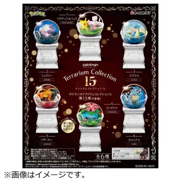 포켓몬 Terrarium Collection 15 뮤츠