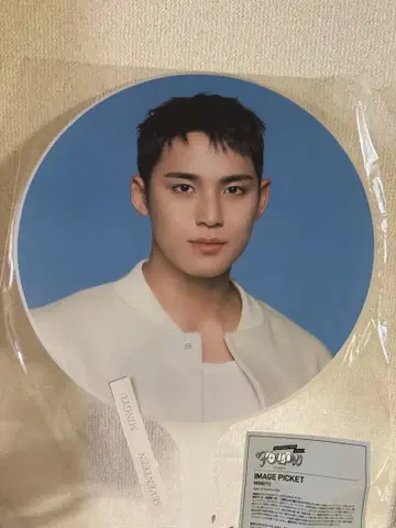 SEVENTEEN 민규 부채 FOLLOW AGAIN