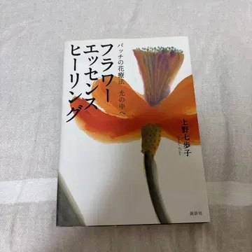 플라워 에센스 힐링 배치 꽃 요법 빛 속으로