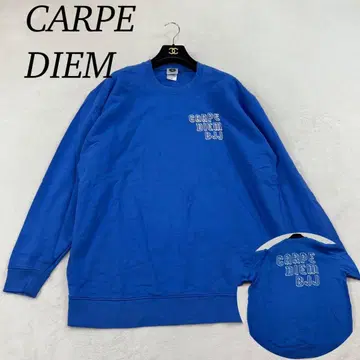 K293 새상품급 2XL 카르페디엠 빅 사이즈 맨투맨 블루 남성용