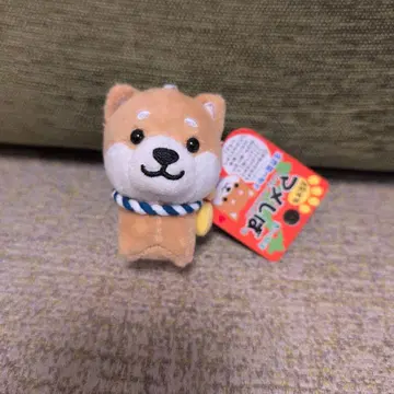 여행하는 마메시바 곤피라