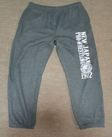 신일본 프로레슬링 맨투맨 5L 색상 그레이