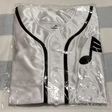 WHAT IS EXILE 업그레이드 굿즈 프리미엄 WIE 플래그