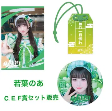 iLiFE! 무도관 공연 기념 와카바노아 3종 세트 (C.E.F상)